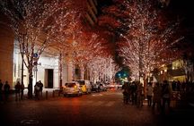Shop Up A Storm In Tokyo's Ginza District with a Local Host