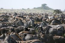 3-Day Camping Safari to Serengeti and Ngorongoro Crater - Group Joining Tour