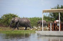 Nyerere ( Selous) National park,game drive, walking safari, & boat