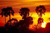 2 Days Ruaha National park
