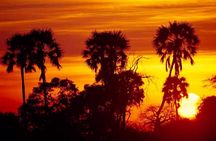 1 Day group tour-Ruaha National park