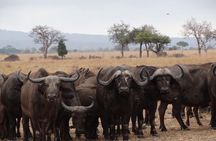 5 Days Safari to Nyerere NP (Selous GR) and Mikumi NP