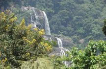 6 Days Safari to Udzungwa Mountain NP, Ruaha NP and Mikumi NP 