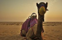 Dubai Red Dunes Safari