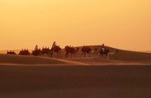 Dubai 6-Hour Desert Safari Tour With Private Car