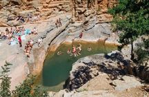 Discover Paradise Valley and local life