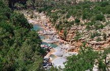 Discover Paradise Valley and local life