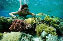 Full Day Snorkeling Trip to the Red Sea in Safaga from Luxor