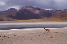 Laguna del Toro and Flamingo-Watching 4WD