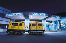 Lyttelton Shore Excursion: Christchurch Sightseeing with Antarctic Center