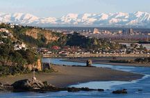 Lyttelton Shore Excursion: Christchurch Sightseeing with Antarctic Center