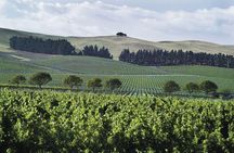 Lyttelton Shore Excursion - Waipara Wine Tour With Lunch