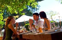 Lyttelton Shore Excursion - Waipara Wine Tour With Lunch