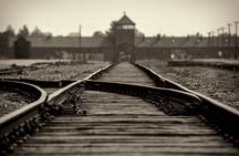 Auschwitz-Birkenau tour from Warszawa with private driver 