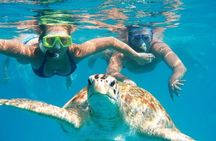 Snorkel Tour in Curacao