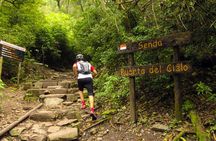 Yungas Half-Day Tour from Tucuman