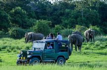 2 Days Tour of Double Safari (Yala & Udawalawe) - All Inclusive