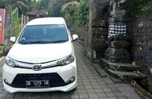 Bali Custom Car Charter
