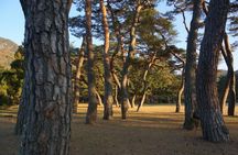 Songnisan National Park & Beopjusa Temple UNESCO site Private Tour