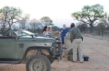 4 Day Greater Kruger National Park Adventure Safari