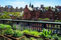 Highline and Chelsea Markets Tour