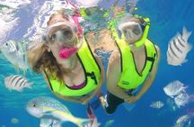 Roatan Excursion Horseback Riding / Zip Line / Sloths Hangout / Snorkel Adven..