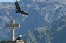 Full day Colca Canyon with Entrances from Arequipa