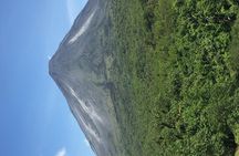 Arenal Volcano Hiking trail Observatory& Hot Spring+ lunch buffet