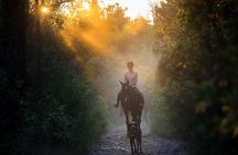 Horseback Riding in Konavle Region with Transport from Dubrovnik
