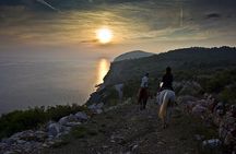 Horseback Riding in Konavle Region with Transport from Dubrovnik