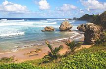Barbados Private Custom Island Tour