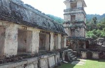 Palenque Archaeological Zone Day Trip from Villahermosa
