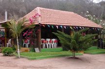 From Mazatlan - La Noria Artisan Tour The Blue Agave