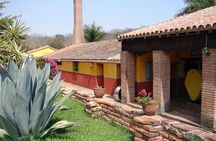 From Mazatlan - La Noria Artisan Tour The Blue Agave