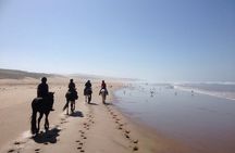 2 hours horse ride beach and dunes in Essaouira Morocco