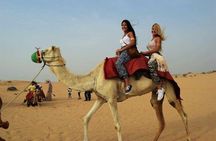 Dubai Desert Safari