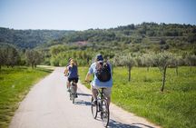 Panoramic Parenzana Bike Tour from Koper