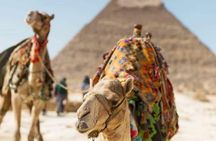 Private full day tour Giza, Sakkara and Memphis