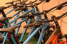 Rent a Mountain Bike in Bled