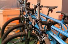 Rent a Mountain Bike in Bled