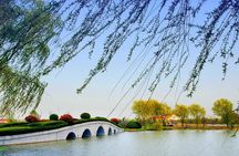 Nantong Printed Blue Nankeen Discovery and City Sightseeing Tour from Shanghai