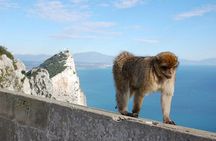 Private Day To Gibraltar from Marbella or Marbella