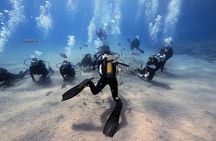 Discover Scuba Diving
