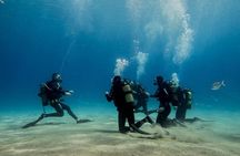 Discover Scuba Diving