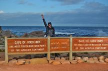 Private Cape of Good Hope and Penguins Tour with Luxury Mercedes or BMW Vehicle
