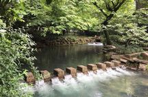 Half-Day Hangzhou Nine Creeks Hiking Tour with Tea Plantation Experience