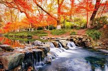 Hangzhou Jiuxi and Hupao Spring Hiking Day Trip from Shanghai by Bullet Train