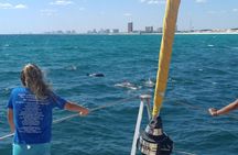 Panama City Beach Dolphin Sightseeing Sail