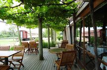 Bouza Winery Tastings and Tapas (Esp, Eng, Port)