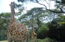 Auto Safari Chapin Drive-Through Nature Park & Zoo from Puerto Quetzal